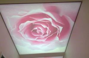 PVC Soft Film Translucent Printing
